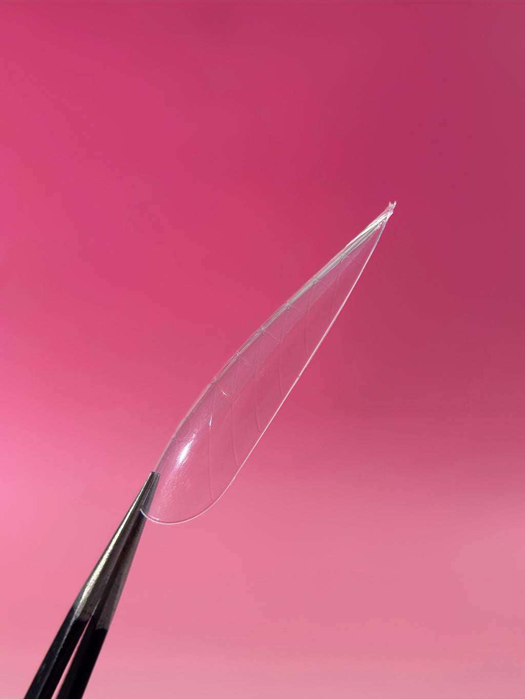 ENIGMANIC Upper Nail Forms