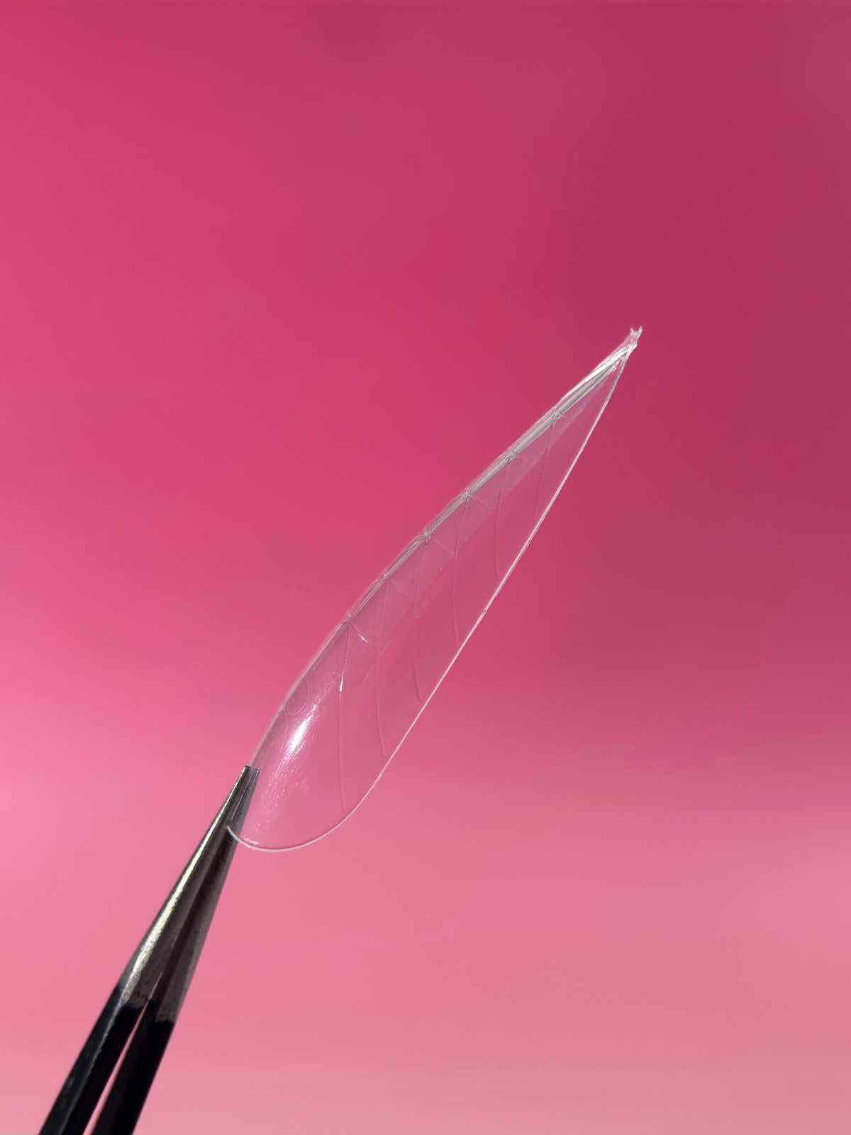ENIGMANIC Upper Nail Forms