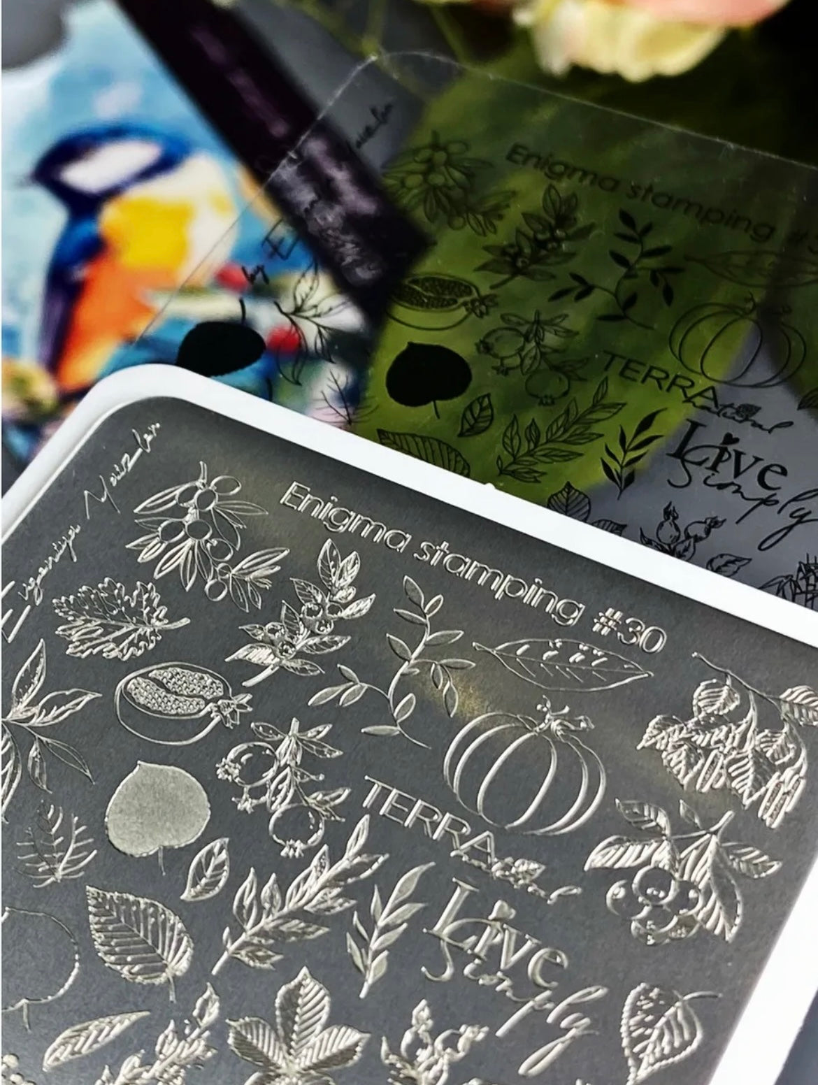 Enigmanic Stamping Plate №030