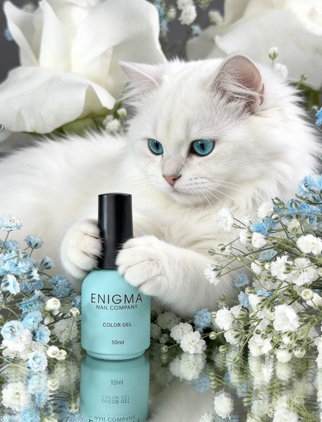 Lunar Cat Enigmanic