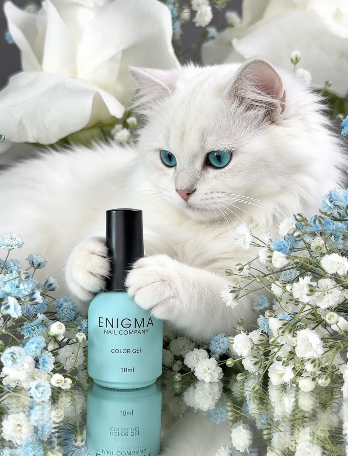 Lunar Cat Enigmanic